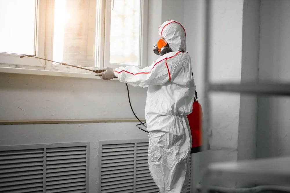 Professional mold remediation services in Williamsburg, MI